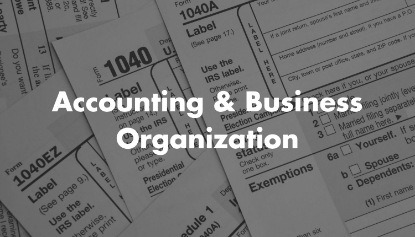 Picture of Accounting and Business Organization