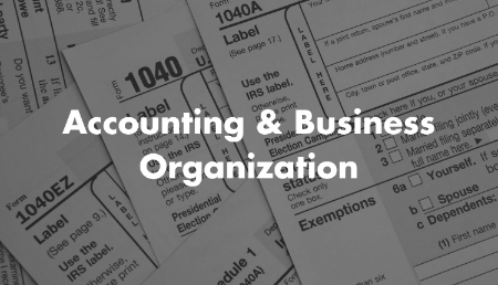 Picture of Accounting and Business Organization