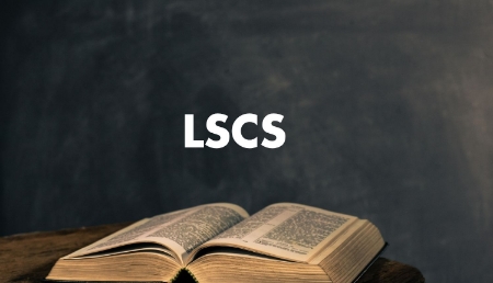 Picture of Lone Star Christian Students